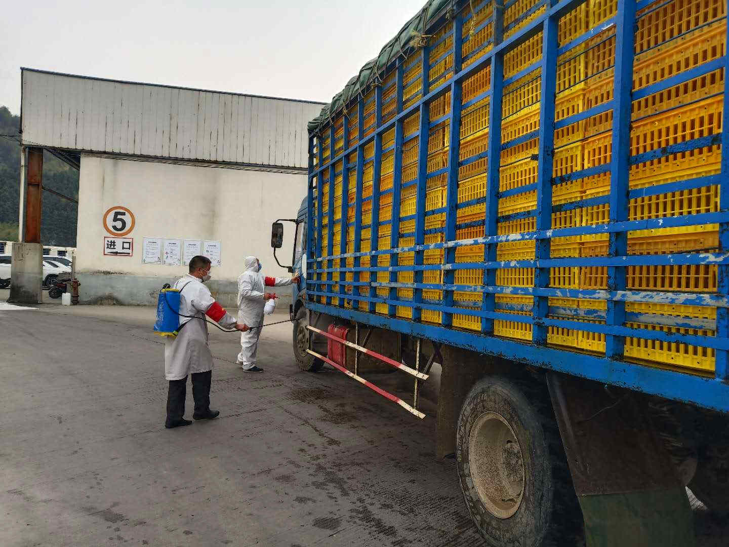 非凡国际(中国区)-官方网站