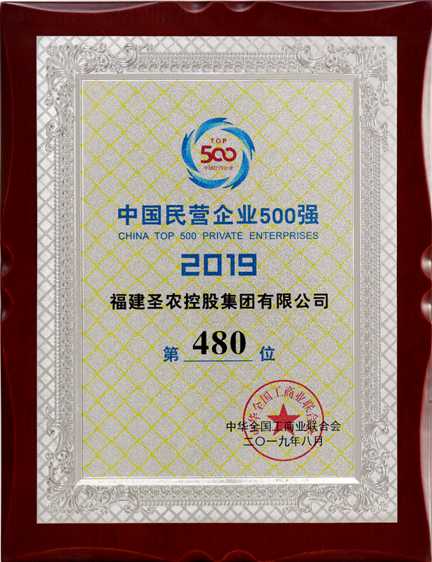 2019（非凡国际集团）中国民营企业500强